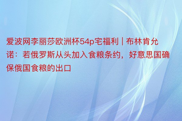 爱波网李丽莎欧洲杯54p宅福利 | 布林肯允诺：若俄罗斯从头加入食粮条约，好意思国确保俄国食粮的出口