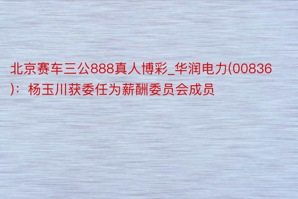 北京赛车三公888真人博彩_华润电力(00836)：杨玉川获委任为薪酬委员会成员